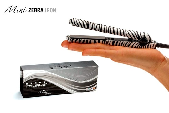 Mini Black Zebra